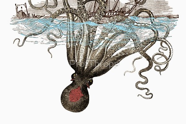 Kraken россия