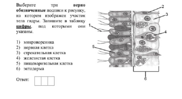 Кракен ссылка орион