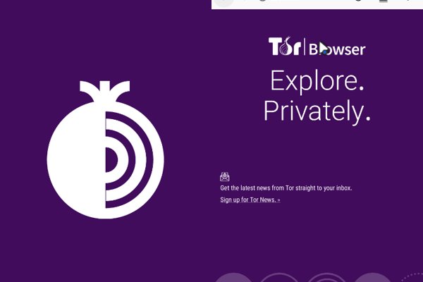 Ссылка на кракен тор kraken2 4aa337