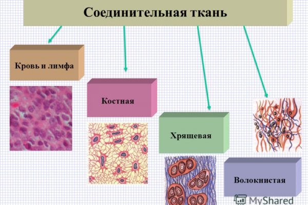 Kra44.cc