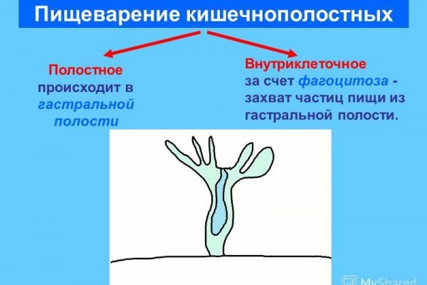 Кракен онион даркнет площадка