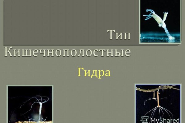 Кракен орг
