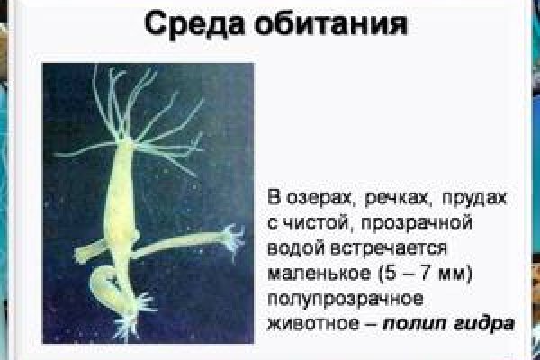 Кракен даркнет тор