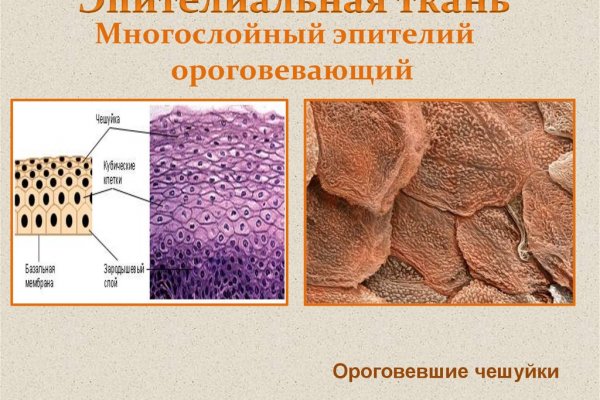 Войти даркнет