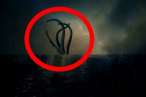 Kraken online